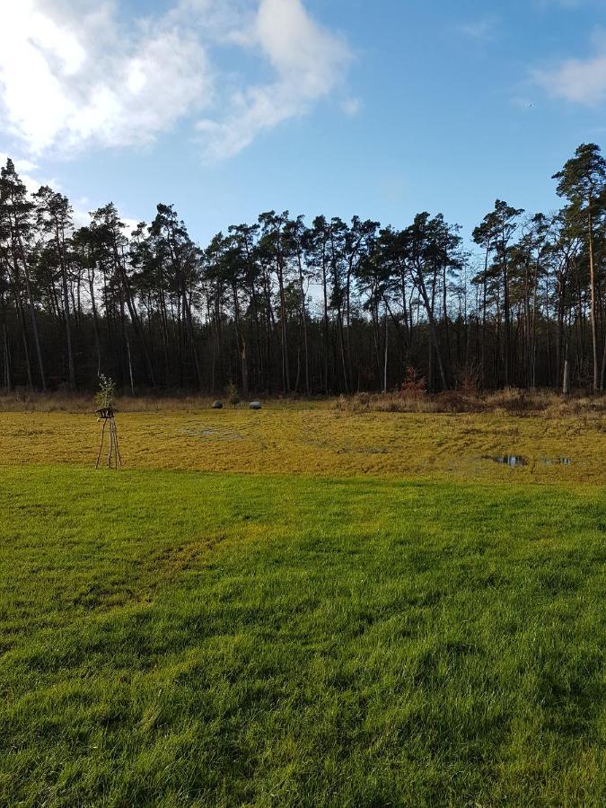 Sonnenstrahl Im Kuestenwald Gelbensande المظهر الخارجي الصورة